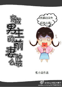 《穿成男主的前妻肿么破》作者:张小栗 《穿成男主的前妻肿么破》作者:张小栗